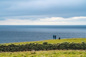 Whale & Dolphin Spotting - St Ninian's, Shetland