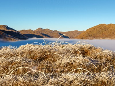 Over the grass and the mist to Sgurr nan Coireachan, Beinn an Tuim and Streap from the south, Morar to Morvern