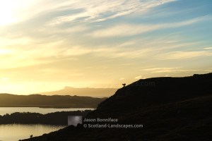 A sheepy lookout on the hillside above Bracorina, Loch Morar, with the island of Eigg behind, Morar to Morvern